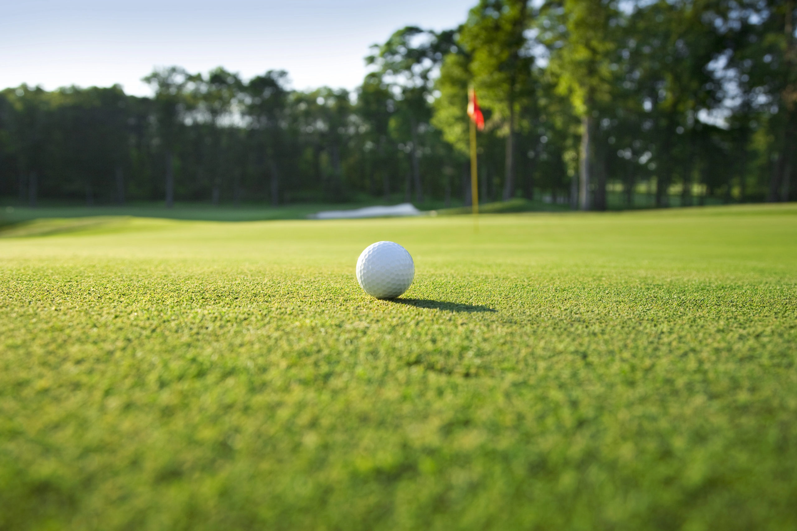 St. James Grass Golf Tournament